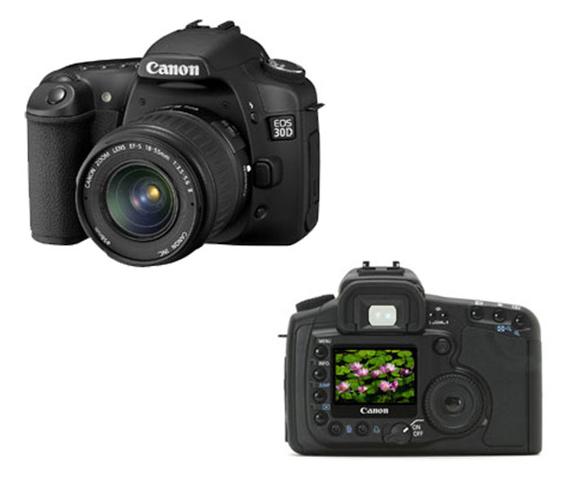 win a free camera, free cameras galore, Free Cameras,Free Camera,FreeCamera,Free Cameras,Free Digital Camera,free camcorder, camcorder for free, camcorder free offer, camera free offer, win a camera for free, win a camcorder, Free Digital,Free Camera Digital